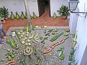 PA140006.jpg
