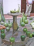 PA140030.jpg