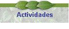 Actividades