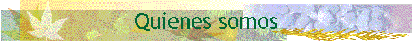 Quienes somos