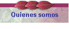 Quienes somos