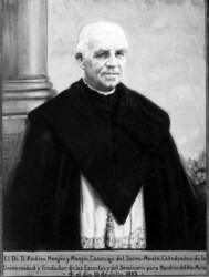 Andr&eacute;s Manj&oacute;n