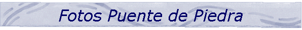 Fotos Puente de Piedra