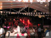 11.verbena.jpg (112122 bytes)