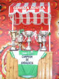 06.Trofeos.jpg (142246 bytes)